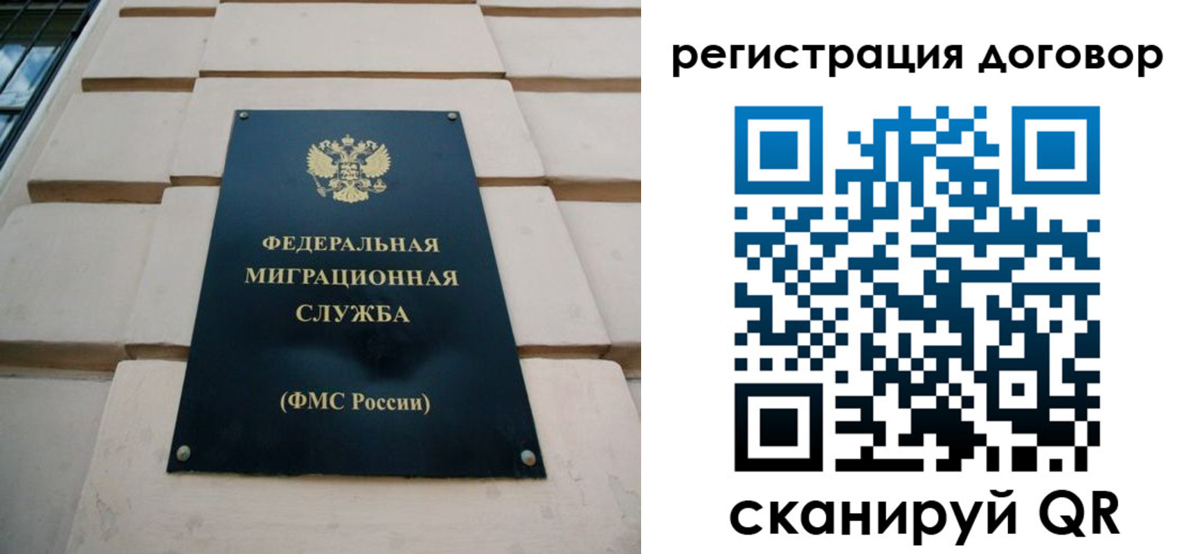 прописка в квартире в Снежногорске